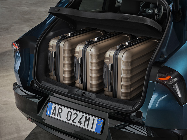 Trunk
