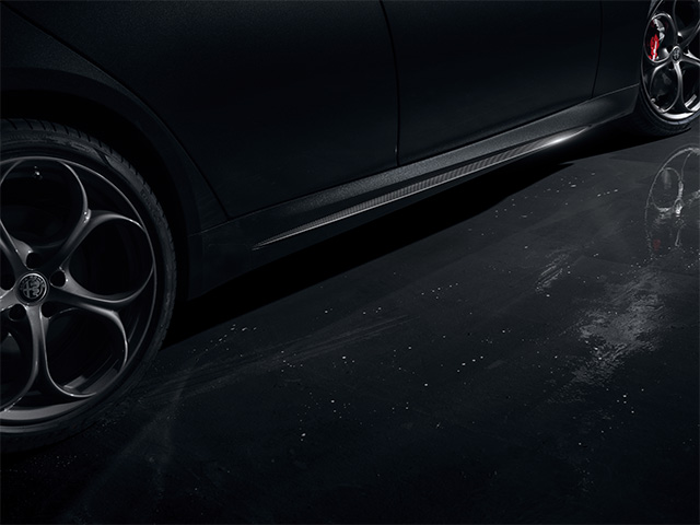 Carbon side skirt