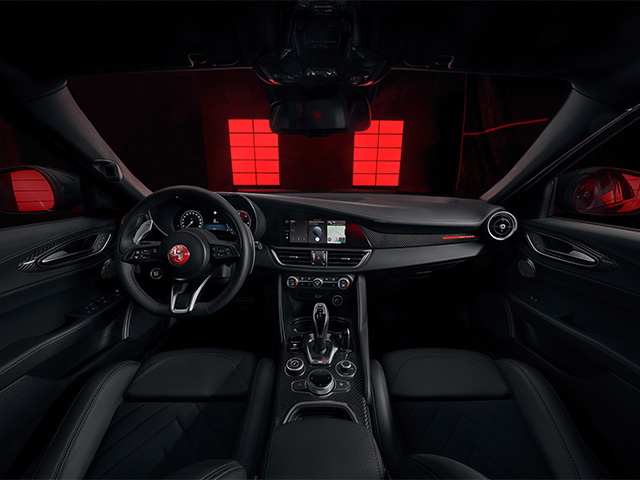 Leather dashboard and door panels