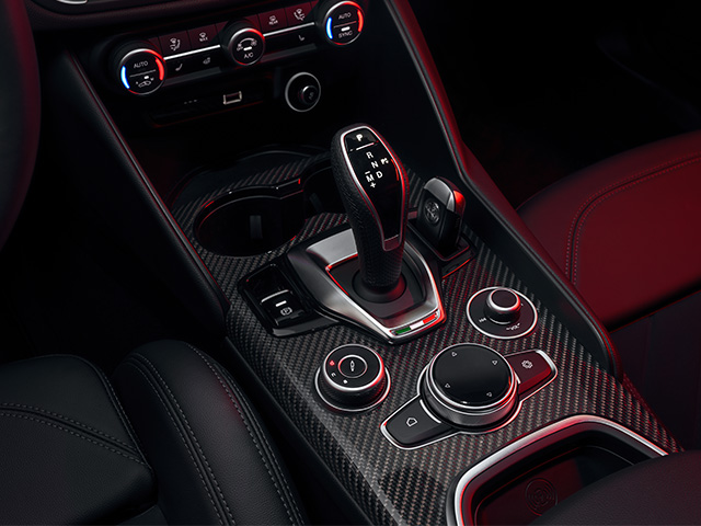Carbon details on cabin
