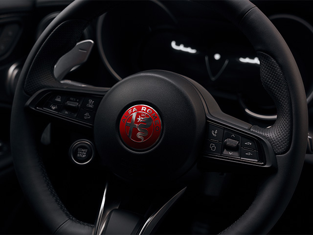 Red Alfa Romeo logo on steering wheel