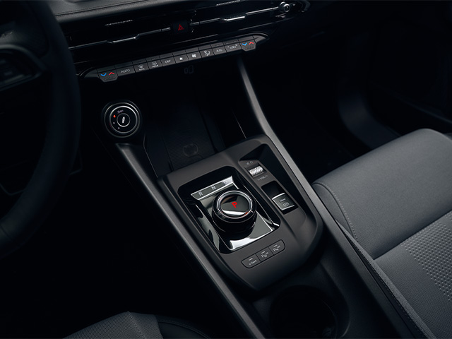Black interior finishes