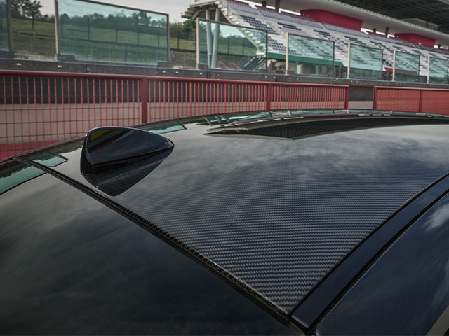 Carbon fibre roof
