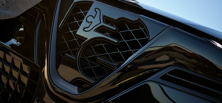 Junior Gallery Slider n.4